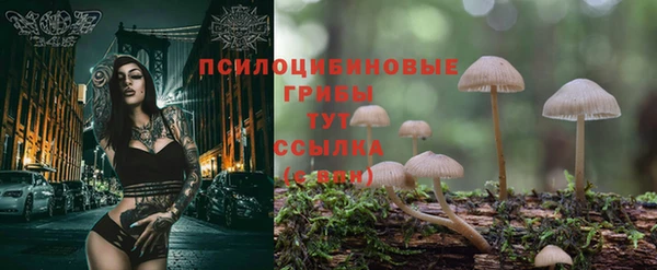 марихуана Белокуриха