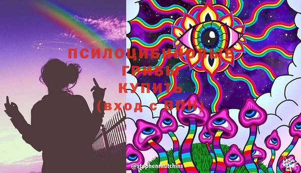 марихуана Белокуриха